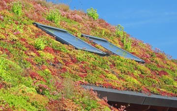 Tollerford living roof systems