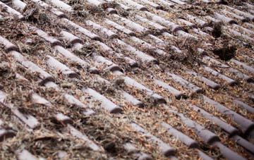 Tollerford roof cleaning companies