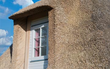 Tollerford thatch roof disadvantages