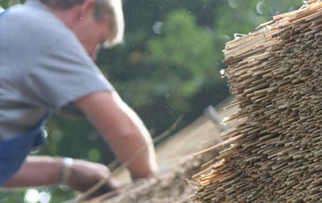 professional Tollerford thatchers