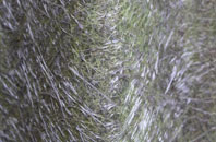 Tollerford fibreglass roof work